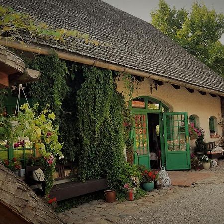 Domy Konesera Trzcin Exterior photo