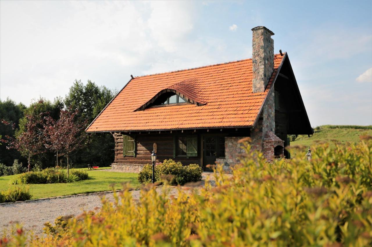 Domy Konesera Trzcin Exterior photo